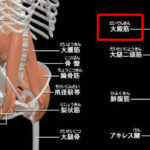 腰痛やひざ痛の原因は股関節まわりの硬さ