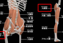 腰痛やひざ痛の原因は股関節まわりの硬さ