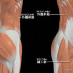 コレは効く!プランク系の体幹トレーニング5選