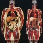 痩せる順番・どこから痩せていくの?