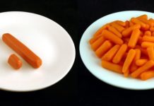 200kカロリーを摂取するならどっち?13戦勝負!