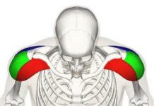 正しい姿勢を保つ方法