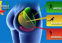 大臀筋が見てわかる!筋肉図解8選