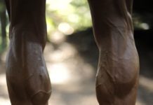 ふくらはぎの鍛え方が超ハードな男性7選