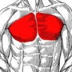 大胸筋を鍛えるメリットと筋トレ方法