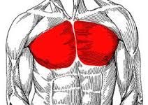 大胸筋を鍛えるメリットと筋トレ方法