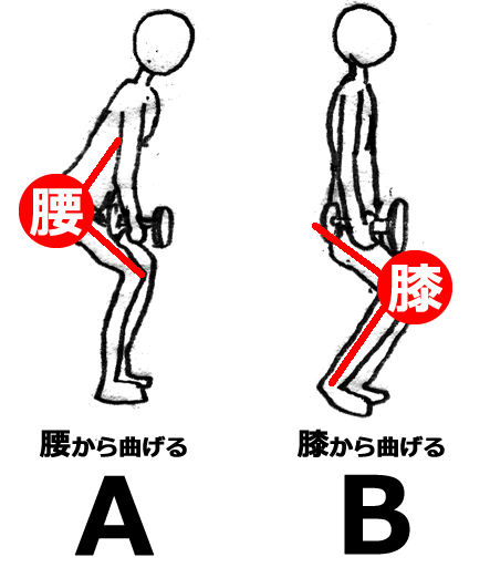 正しいスクワット