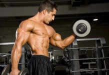 ダンベルカールのやり方