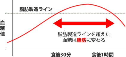 糖質の摂りすぎは一挙に脂肪をつくる