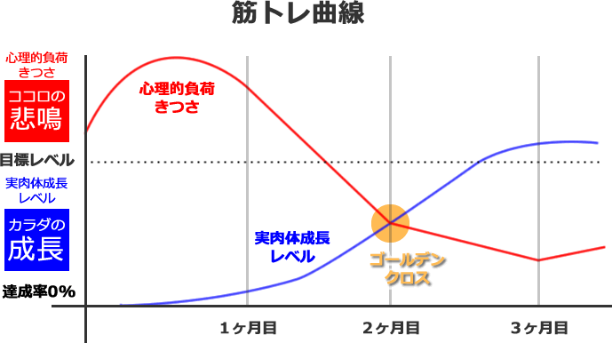 筋トレ曲線