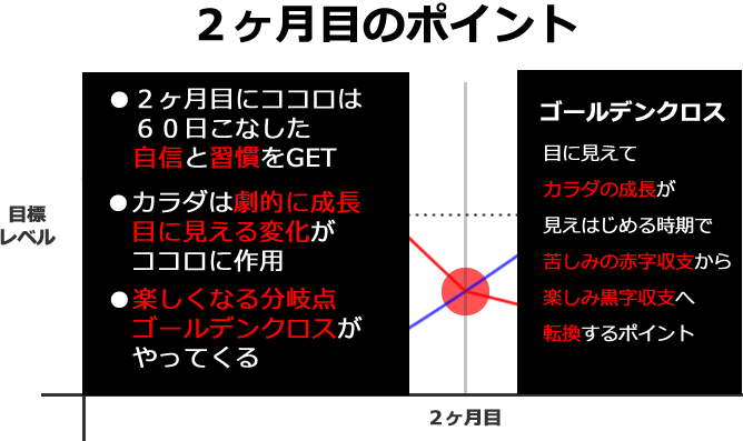 筋トレ曲線