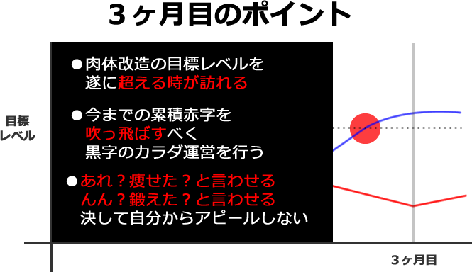 筋トレ曲線