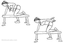 トライセプス・キックバックのやり方