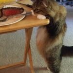 簡単な糖質の見分け方!GI値いらずの太りやすい炭水化物の判断方法