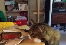 簡単な糖質の見分け方!GI値いらずの太りやすい炭水化物の判断方法