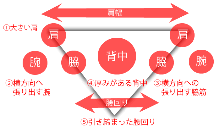 逆三角形をつくる筋トレ方法 鍛え方とメニュー 筋トレtips