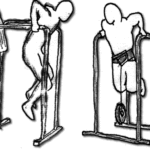 バー・ディップスのやり方!上半身のファンクショナルトレーニング