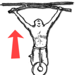 チンニングのやり方!背中を鍛えるシンプルメニュー