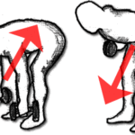 ダンベル・ローイングのやり方!引き寄せて背中の筋トレ