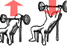 インクライン・ベンチプレスのやり方!大胸筋の上を狙う筋トレ