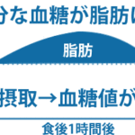 糖質制限食ダイエットがカロリー制限より成功しやすい7つの理由