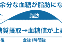 糖質制限食ダイエットがカロリー制限より成功しやすい7つの理由