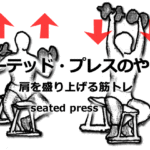 シーテッド・プレスのやり方!肩を隆起させる筋トレメニュー